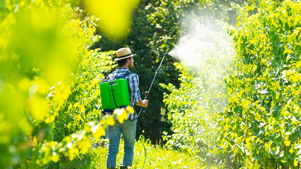 DI MARTINO - Pompe a zaino GDM Professional | ROSY 16