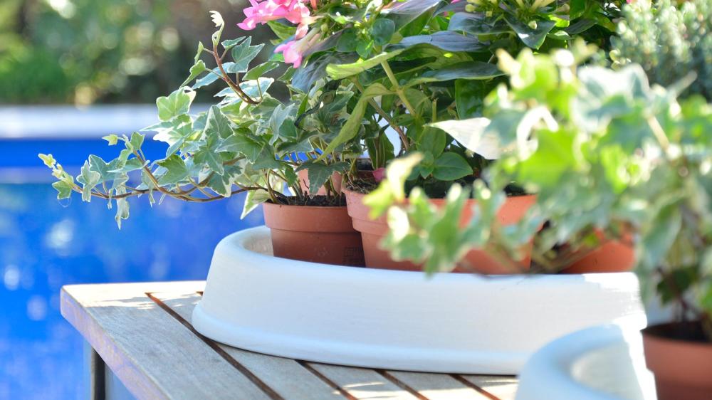 DI MARTINO - Vasi decorati Vasi moderni Pottery Collection | SOTTOVASI TONDI