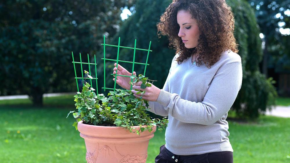 DI MARTINO - Support Agritools | Masts