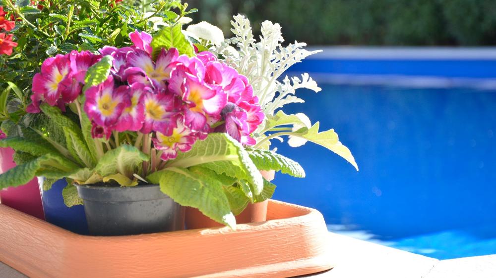 DI MARTINO -  Decorated pots Pottery Collection | RECTANGULAR SAUCER