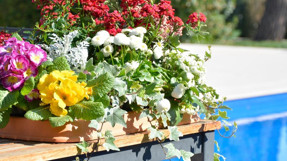 DI MARTINO -  Decorated pots Pottery Collection | RECTANGULAR SAUCER