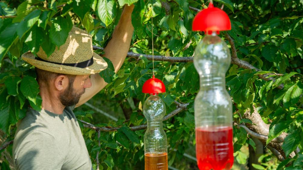 DI MARTINO - Bio traps Agritools | KILLA RED BAG 6 PSC