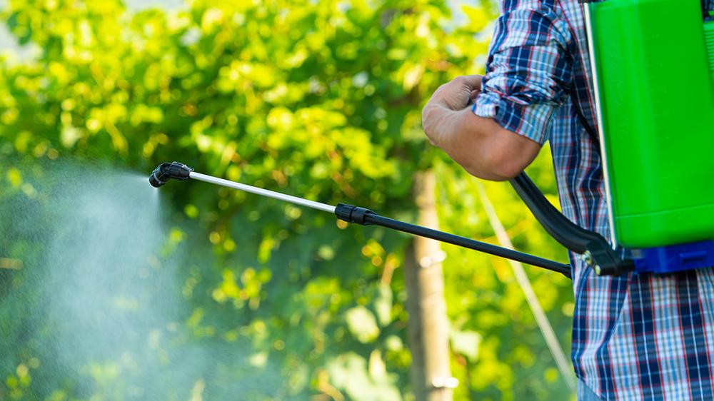 DI MARTINO - Pompe a zaino GDM Professional | ROSY 16