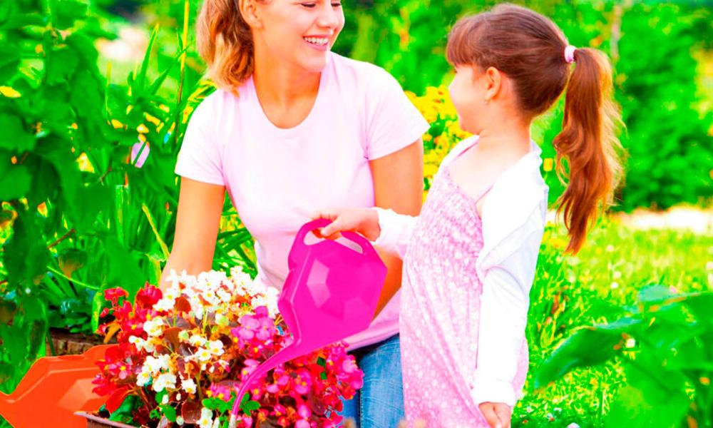 DI MARTINO - Hobbistica