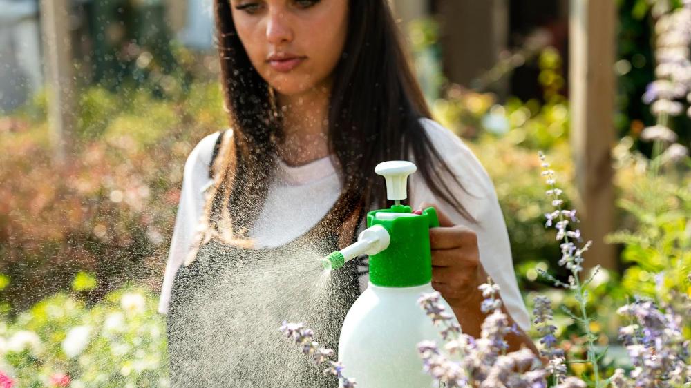DI MARTINO - Pressure sprayers 1,5-2 lt GDM Professional | EVA