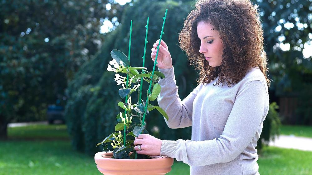 DI MARTINO - Supporti Agritools | ASTE