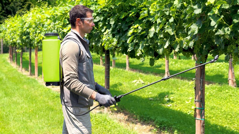 DI MARTINO - Pompe a zaino Garden sprayers | GARDEN 22