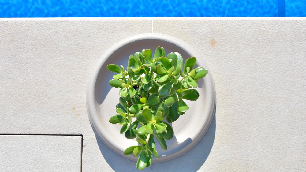 DI MARTINO - Vasi decorati Vasi moderni Pottery Collection | SOTTOVASI TONDI