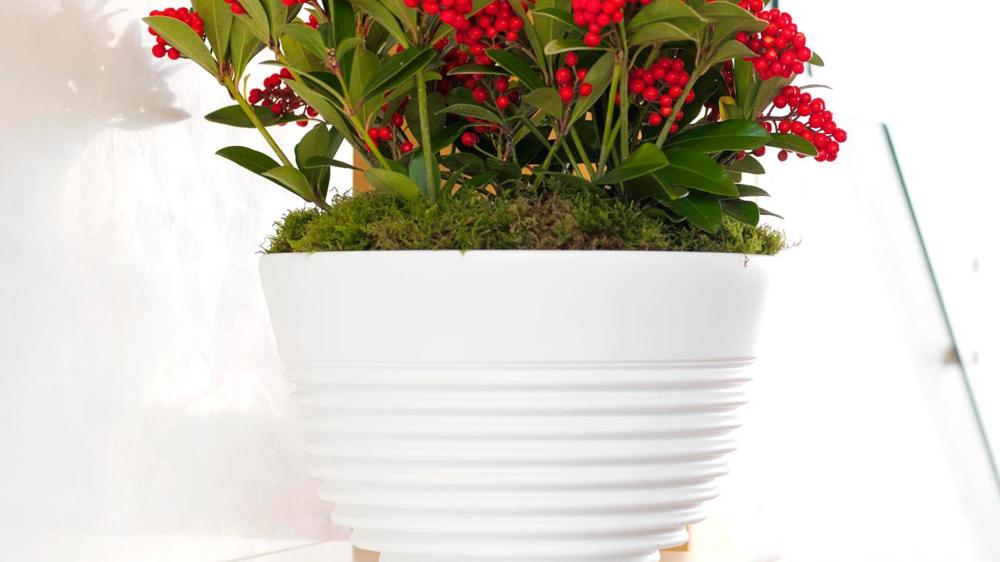 DI MARTINO - Modern pots Pottery Collection | LOIRA
