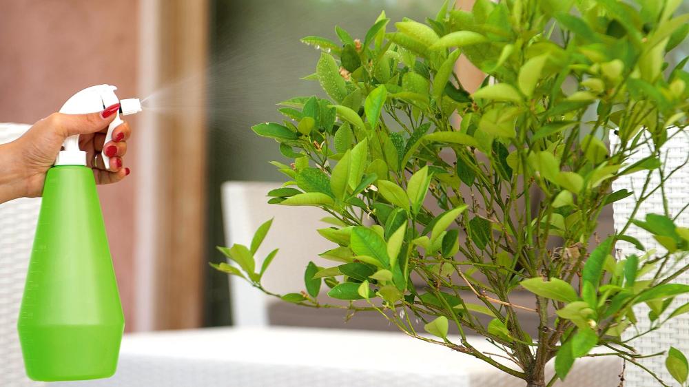 DI MARTINO - Spruzzatori Garden sprayers | GARDEN 500