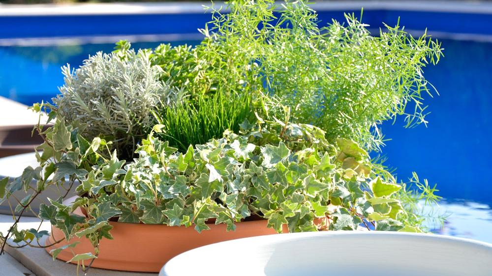 DI MARTINO - Vasi decorati Vasi moderni Pottery Collection | SOTTOVASI TONDI