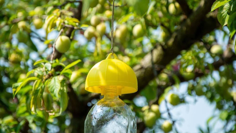 DI MARTINO - Bio traps Agritools | KILLA BAG 6 PSC