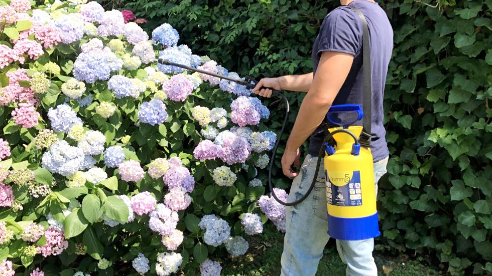 DI MARTINO - Pressure sprayers 5-10 lt Mythos | GAMMA 7