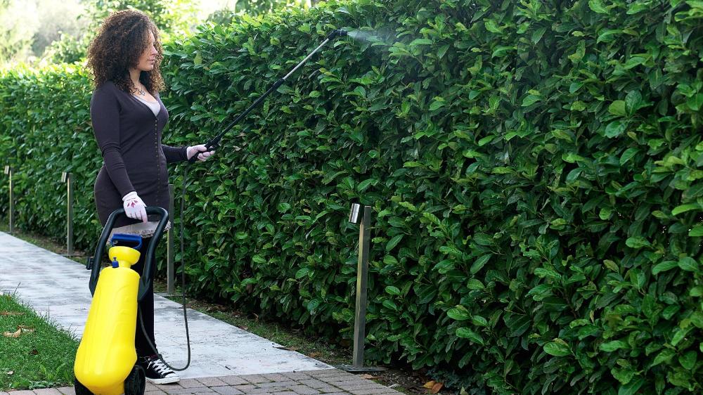 DI MARTINO - Pressure sprayer with trolley Mythos | CARRY