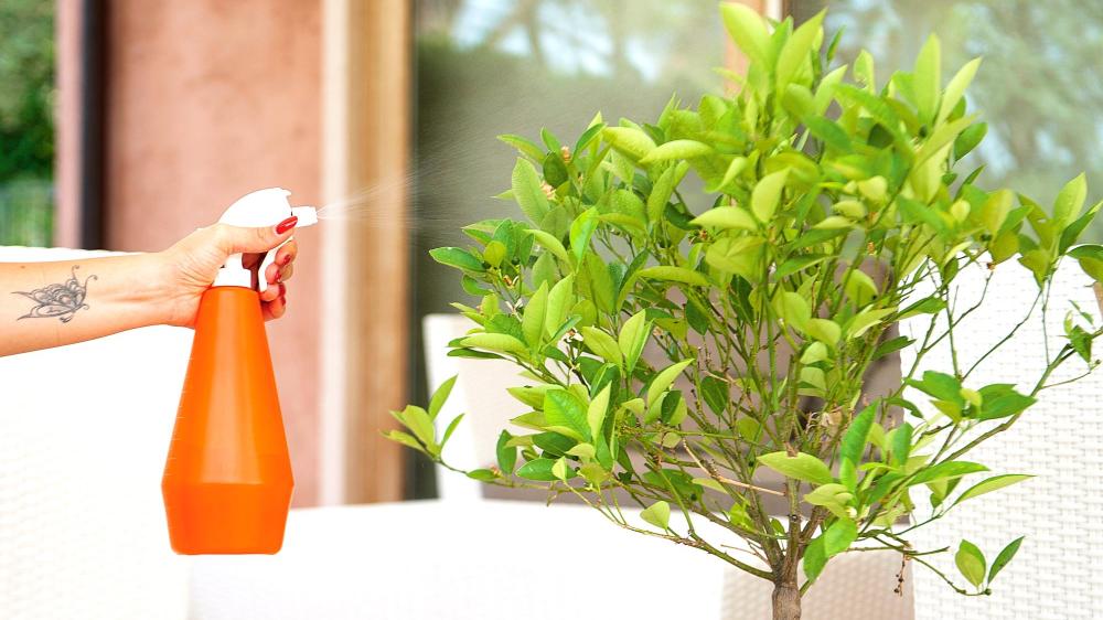 DI MARTINO - Sprayers Bertani | JET 500