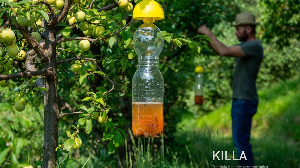 DI MARTINO - Bio traps Agritools | KILLA BAG 6 PSC